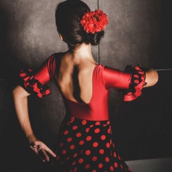 Flamenco à l'unité